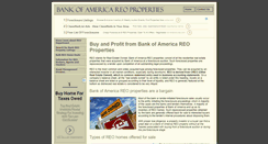 Desktop Screenshot of bankofamericareo.net